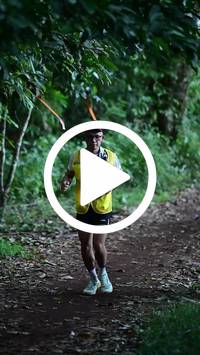 BIB:  <button type="button" onclick="openModal(27808277)" class="btn btn-primary btn-sm float-right" data-toggle="modal" data-target=".modal-high-quality">
                <i class="fa fa-download"></i> Download
                </button>